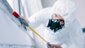 Best Residential Pest Control  in Parsippany, NJ